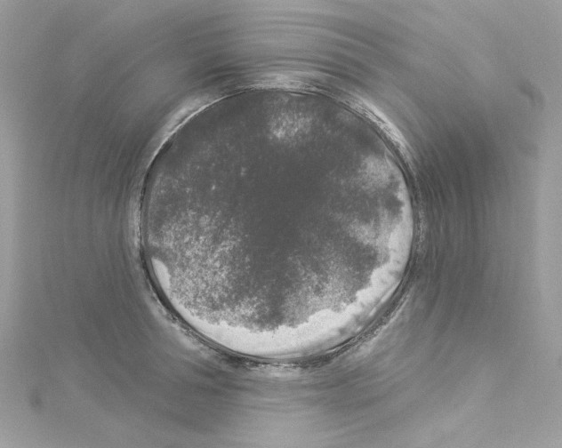 X0000114120994200911161135