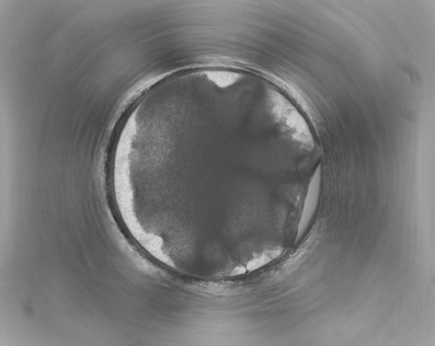 X0000114120995200911161135