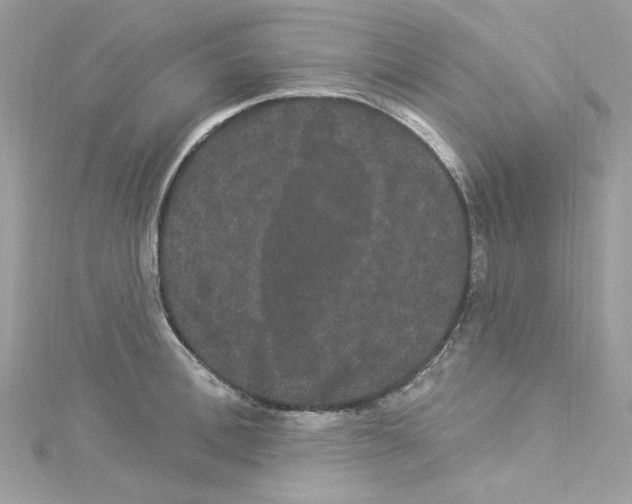 X0000114120996200911161135