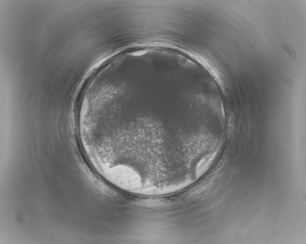 X0000114120998200911161135