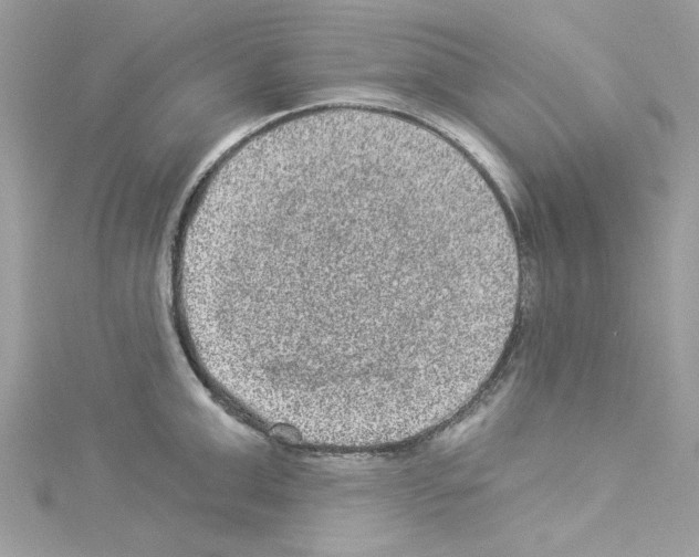 X0000114120999200911161135