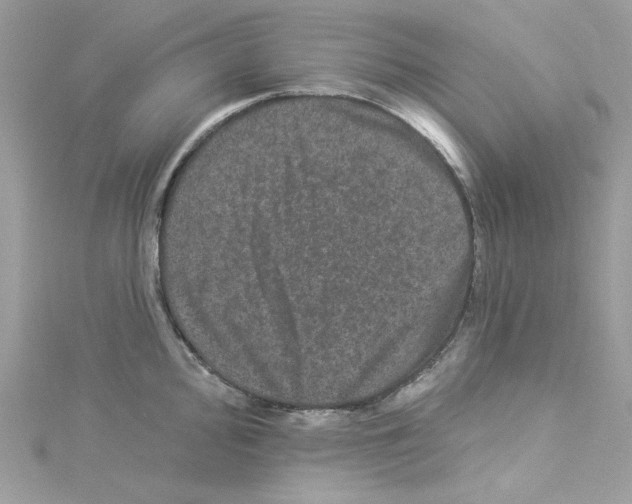 X0000114121000200911161135