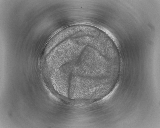 X0000114121001200911161135