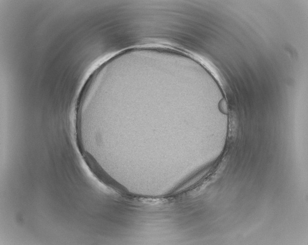 X0000114121003200911161135