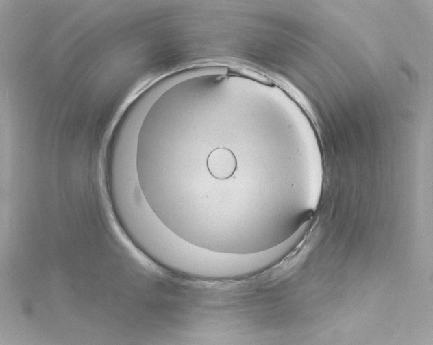 X0000114121005200911161135