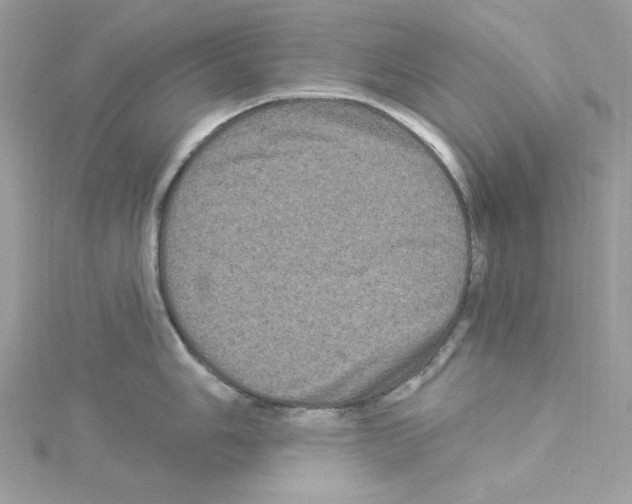 X0000114121006200911161135