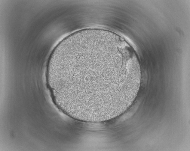 X0000114121007200911161135