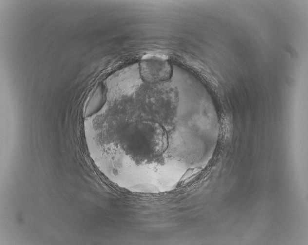 X0000114121009200911161134