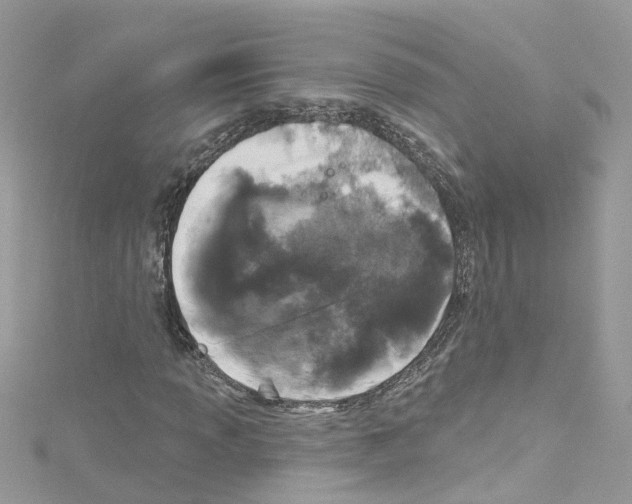 X0000114121013200911161134