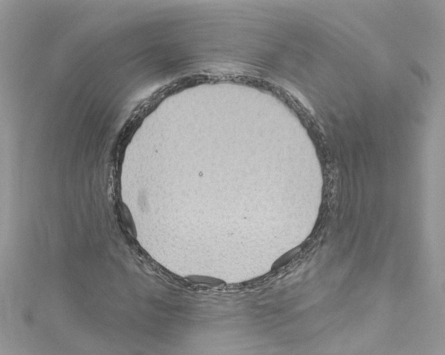 X0000114121016200911161134