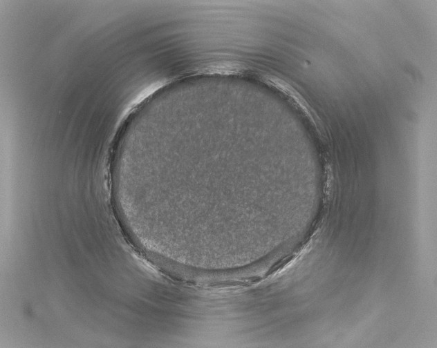 X0000114121018200911161134