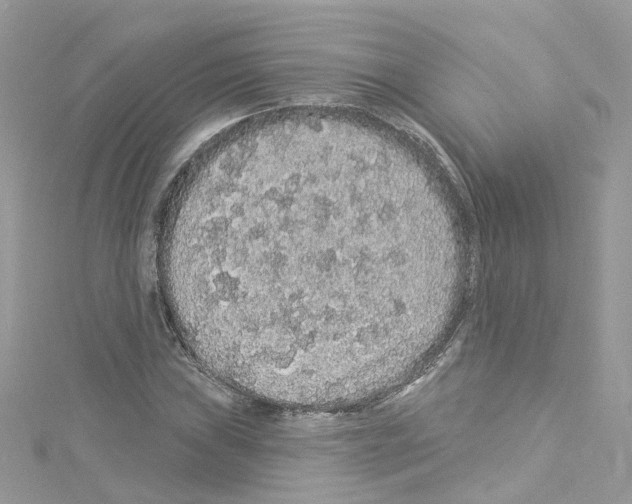 X0000114121019200911161134