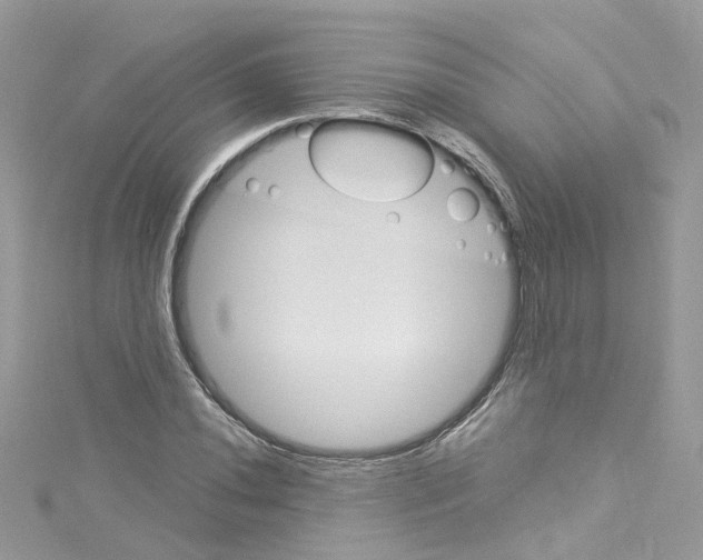 X0000114121020200911161134