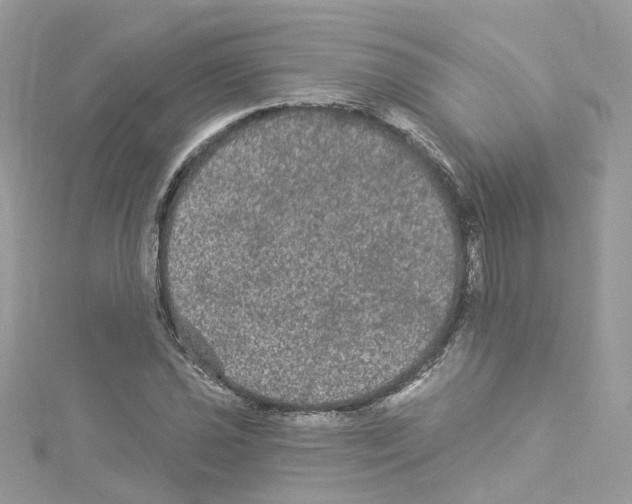 X0000114121021200911161134