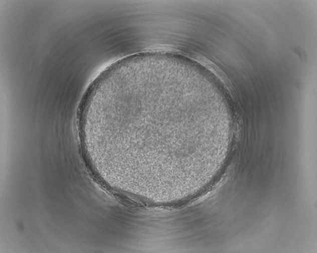 X0000114121022200911161134