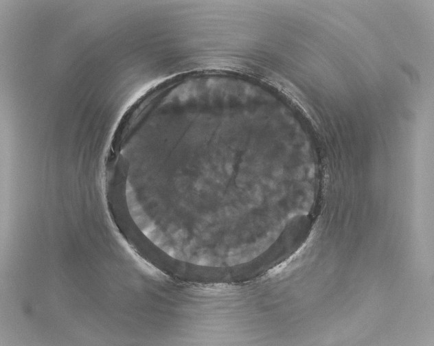 X0000114121024200911161134