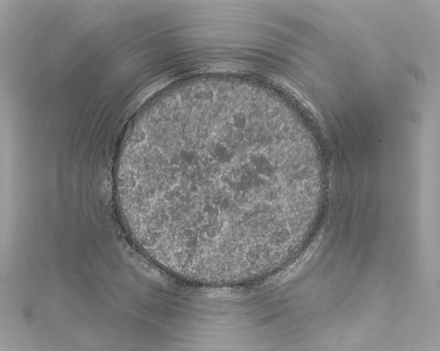 X0000114121025200911161134