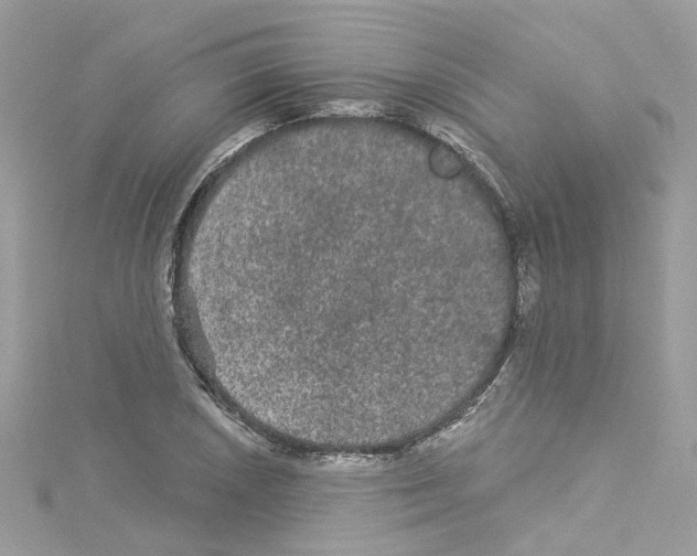 X0000114121026200911161134