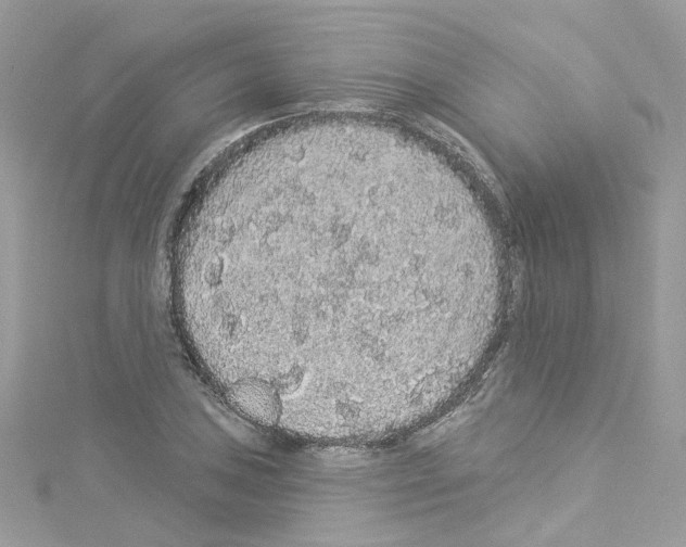 X0000114121027200911161135