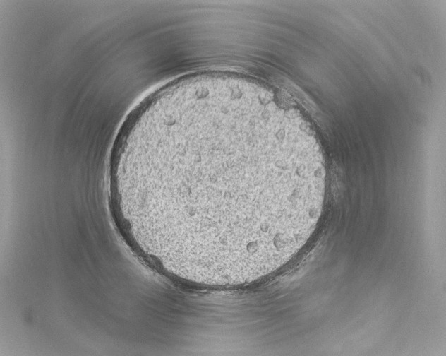 X0000114121028200911161135