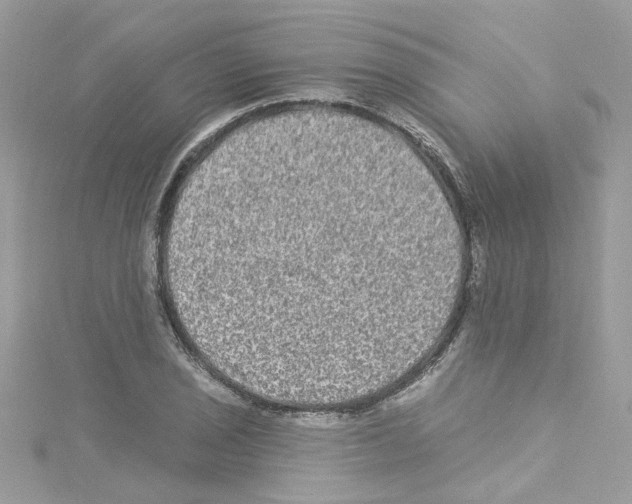 X0000114121029200911161135