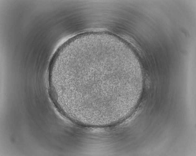 X0000114121030200911161135