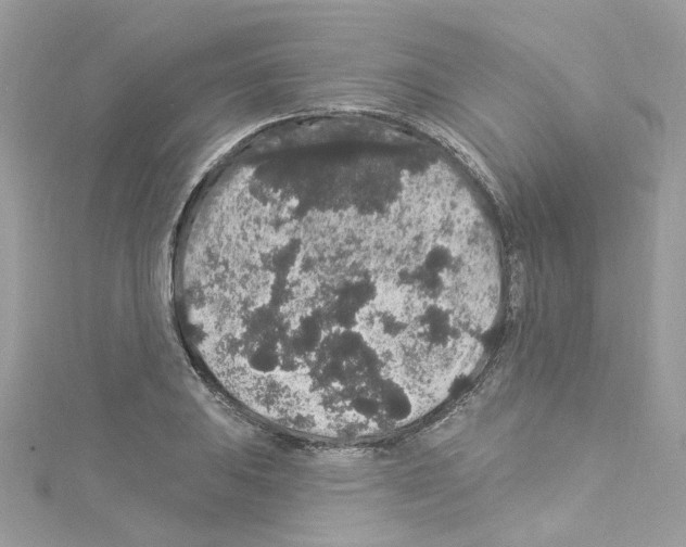 X0000114121031200911161135