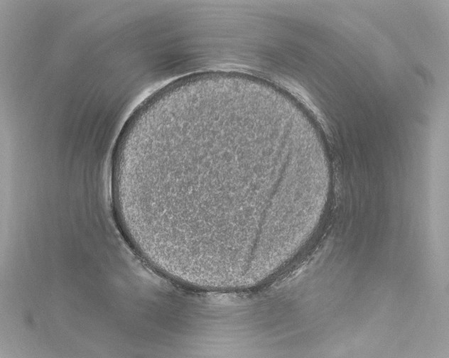 X0000114121032200911161135