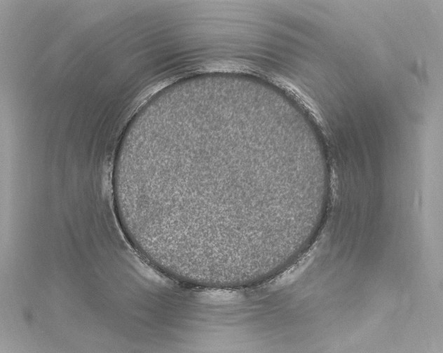 X0000114121033200911161135