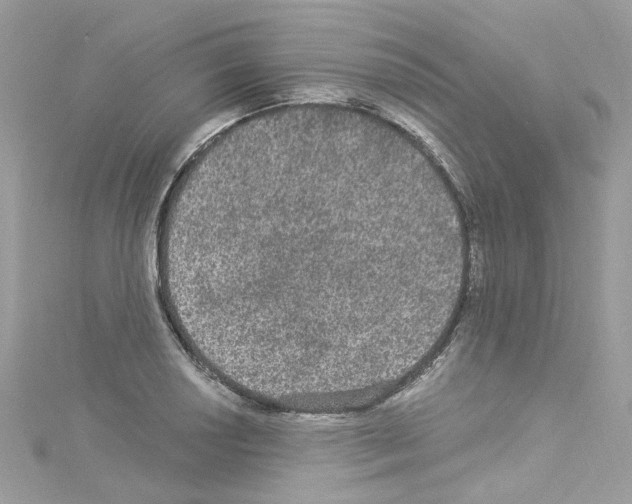 X0000114121034200911161135