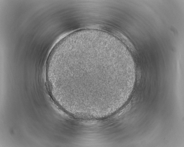 X0000114121036200911161135