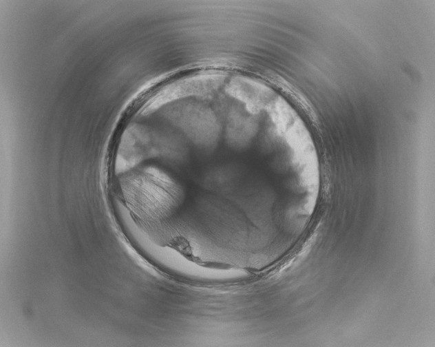 X0000114121037200911161135