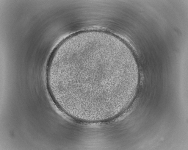 X0000114121038200911161135