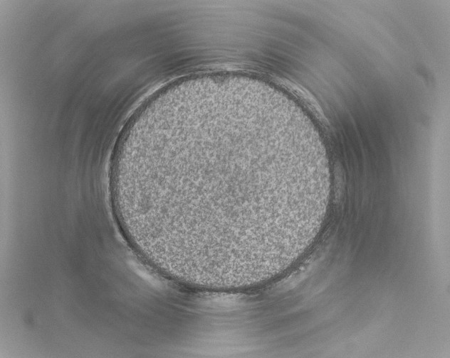 X0000114121039200911161135