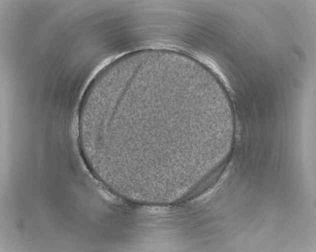 X0000114121040200911161135