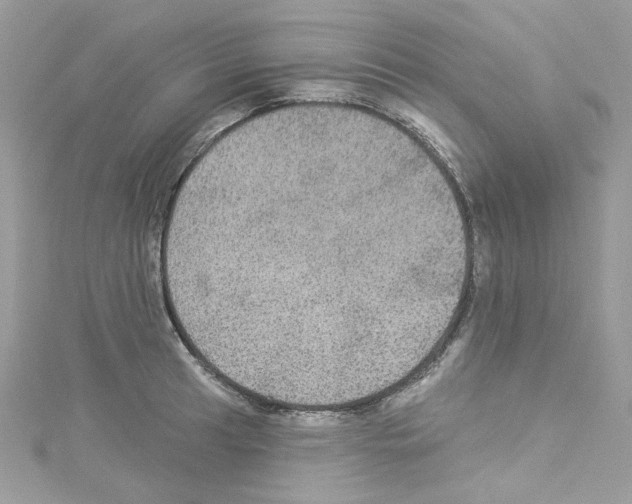 X0000114121041200911161135