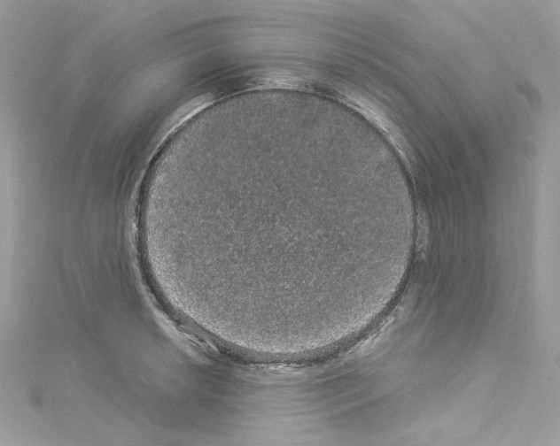 X0000114121042200911161135