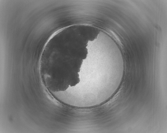 X0000114121044200911161135