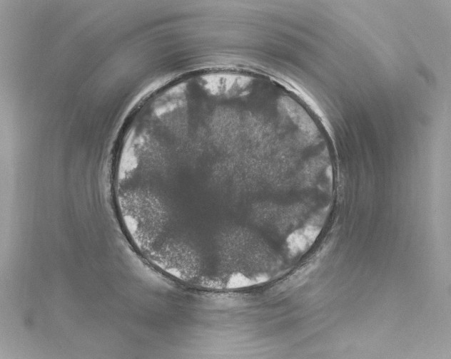 X0000114121045200911161135