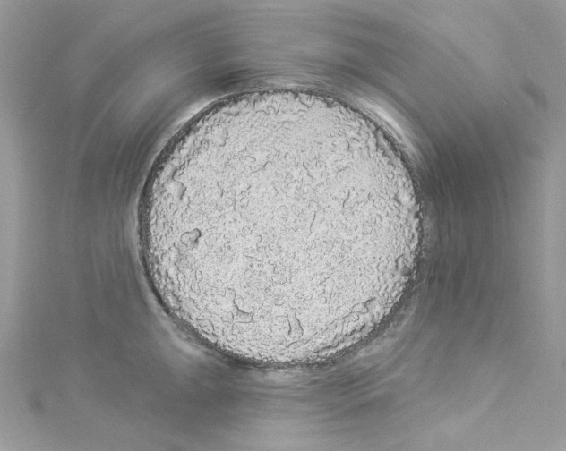 X0000114121047200911161135