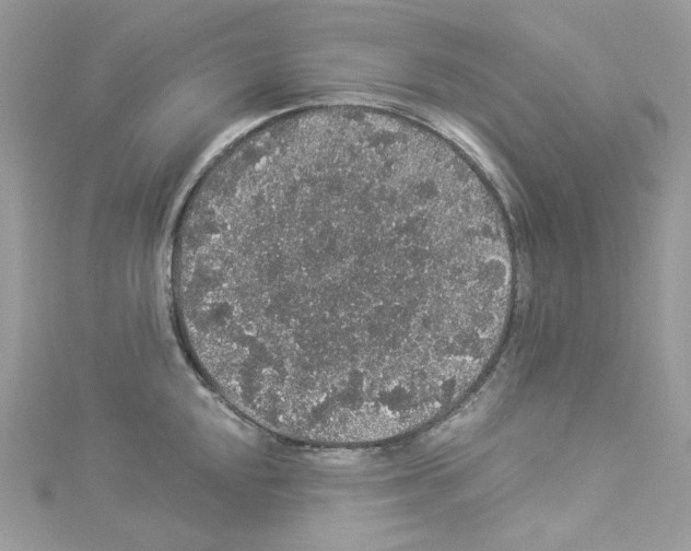 X0000114121048200911161135