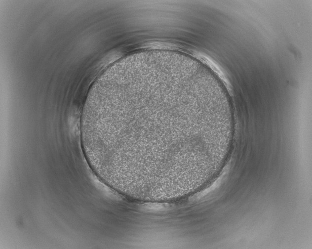 X0000114121049200911161135