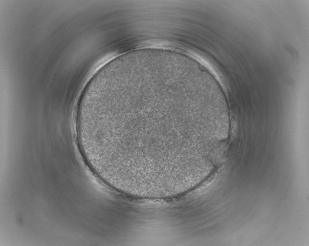 X0000114121050200911161135