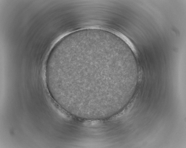 X0000114121051200911161135