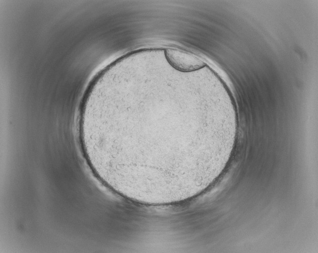 X0000114121053200911161135