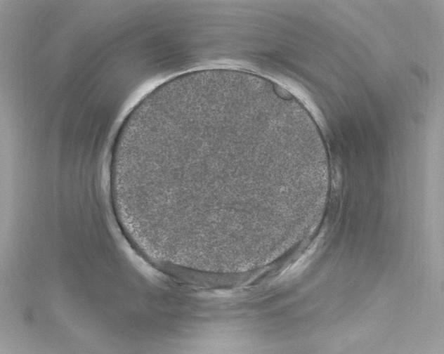 X0000114121054200911161135