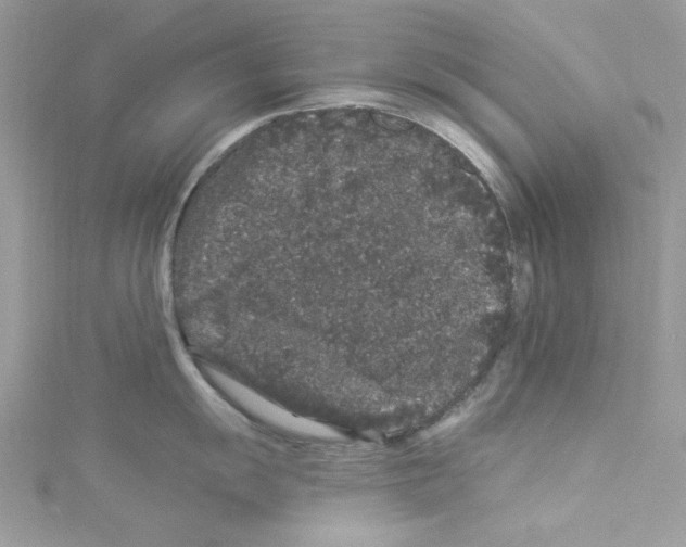 X0000114121055200911161135