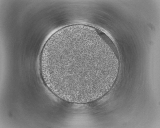 X0000114121056200911161135