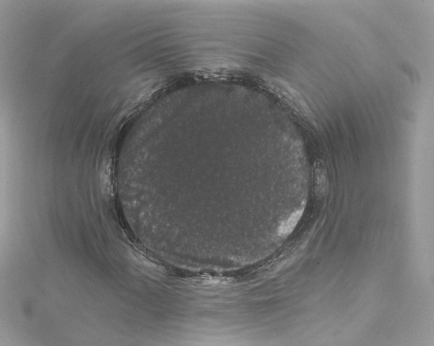 X0000114121060200911161134