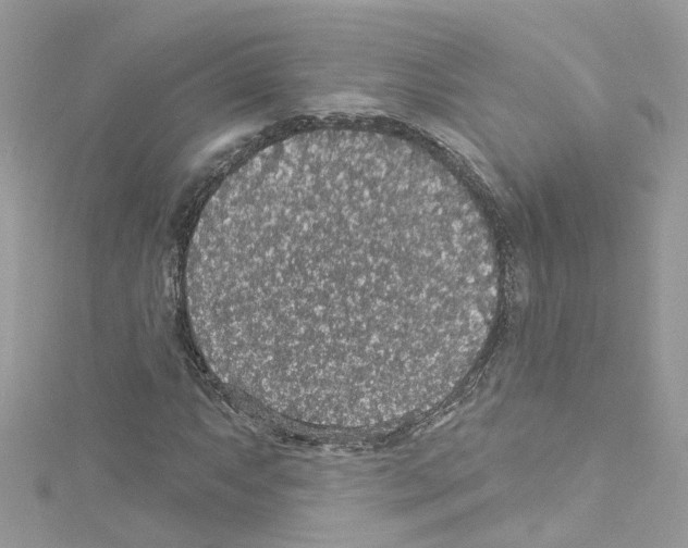 X0000114121063200911161134